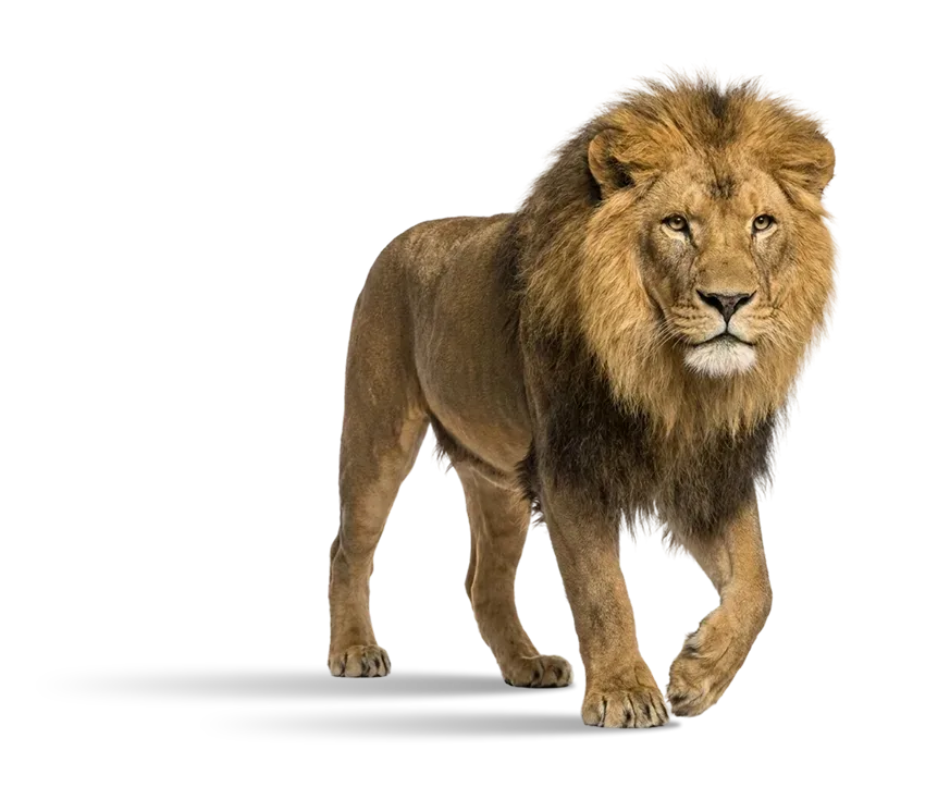 Advertising's representative animal image