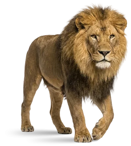 Lion, the animal that represents the Advertising unit