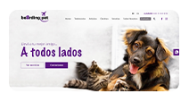 Boardingpet - Out portfolio - Rednodo